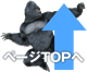 ページトップへ